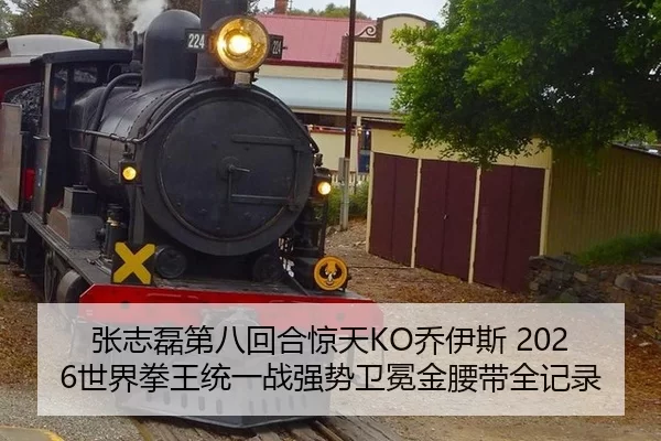 张志磊第八回合惊天KO乔伊斯 2026世界拳王统一战强势卫冕金腰带全记录